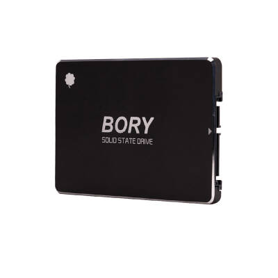 BORY R500-C256G SATA3 256 GB SSD 550/510 MBS HARDDİSK - 1